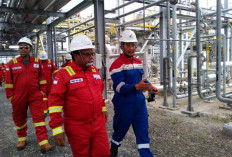 Rekrutmen SKK Migas 2026 Resmi Dibuka! Lulusan S1 Bisa Daftar hingga 14 Juli, Cek Syarat dan Link Pendaftarann