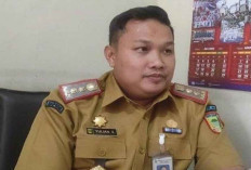 Seleksi CPNS, 511 Pendaftar Masuk Tahap Verifikasi