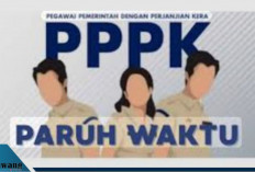 Segini Gaji PPPK Paruh Waktu 2025 Lulusan D3 di Bangka Belitung, Lampung hingga Papua