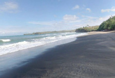 Pesona Pantai Serang dan Papuma: Surga Tersembunyi di Jawa Timur, Sunsetnya Bikin Takjub!