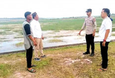 Sepasang Kekasih Dibegal di Tanjung Senai