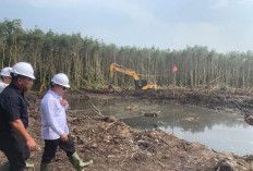 Petani Cetak Sawah Dapat Pupuk Gratis