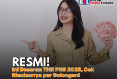 Resmi! Ini Besaran THR PNS 2025, Cek Rinciannya per Golongan!