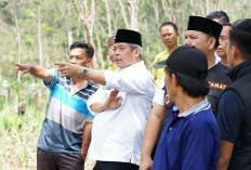 Lahat Kembangkan Kebun Durian Percontohan