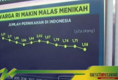 Fenomena Penurunan Pernikahan di Indonesia: Mengapa Generasi Muda Ogah Menikah?.