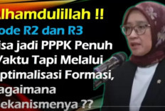 Regulasi Optimalisasi Formasi P3K 2024: Peluang Baru Bagi Pelamar dengan Kode R2 dan R3