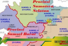 Rencana Pembentukan Provinsi Sumatera Selatan Barat, 8 Kabupaten/Kota Siap Bergabung, Perlukah Pemekaran Wilay