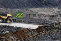 PT Bumi Resources Tbk (BUMI) , Merupakan Tambang Batu Bara Terbesar di indonesia.