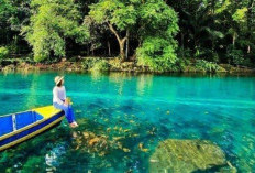 Pesona Situ Cipanten: Danau Jernih dengan Keindahan Bawah Air