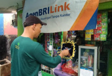 BRI Dorong Pengembangan AgenBRILink untuk Tingkatkan Inklusi Keuangan di Pedesaan