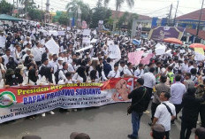 Ribuan Honorer Provinsi di Bengkulu Lakukan Demo, Tuntut Diangkat PPPK Penuh