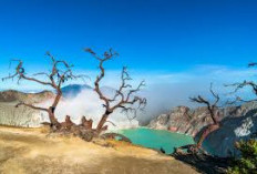 Ini 7 Tempat Wisata Paling Populer di Banyuwangi Berdasarkan Rating