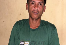 Polisi Tangkap Pelaku Pencuri Ratusan Buah Kelapa Sawit