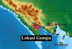 Gempa Bumi Terkini di Tanggamus, Lampung: Magnitudo 3,6 SR, Kedalaman 3 Km