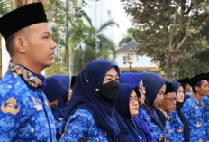 Kabar Baik dari BKN: Ribuan Peserta CPNS 2024 yang Gagal Bisa Diangkat Jadi ASN