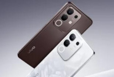 Vivo Y29 4G Resmi Rilis, Bawa Baterai Raksasa dan Sertifikasi Militer di Harga Rp2 Jutaan