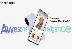 Harga HP Samsung Juli 2025 Bikin Kaget! Yang Rp 1 Juta dan Rp 28 Juta Sama Larisnya!