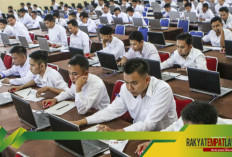 Waspada! Ini 9 Faktor yang Bisa Membuat Tenaga Honorer Gagal Diangkat Jadi PPPK