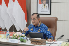 Menko Polkam Bakal Pimpin Apel Siaga Karhutla di Sumsel