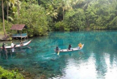 Danau Paisupok, Surga Tersembunyi di Sulawesi Tengah yang Wajib Dikunjungi!