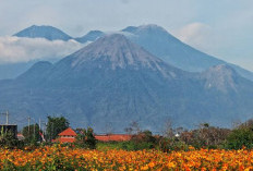 Gunung Arjuno, Keindahan, Sejarah, dan Misteri yang Memikat