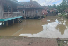 Tiga Kecamatan Sekayu Lais Keluang Terendam Banjir Bandang