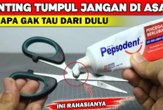 Jangan Buang Gunting Tumpul! Coba Cara Mudah Ini dengan Pasta Gigi