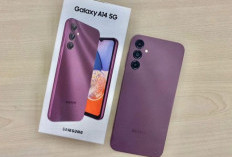 Samsung Galaxy A17 5G Siap Rilis, Bawa Kamera OIS dan Fitur AI Canggih