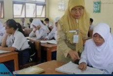 Panduan Lengkap Verval Ijazah di Info GTK: Wajib untuk Guru yang Mau PPG dan Sertifikasi