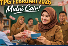 TPG Februari 2026 Mulai Cair! Ini Daftar Daerah yang Sudah Terima Dana Sertifikasi Guru