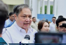 Syarat dan Cara Ikut Magang Nasional 6 Bulan Bergaji UMP, Kuota 20.000 Peserta