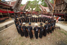 5 Sejarah dan Budaya Suku Toraja