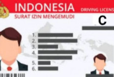 Format Baru SIM Indonesia: Dilengkapi Bahasa Inggris, Dikenali di Luar Negeri