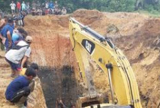 Luar Biasa, Ini 4 Raja Pengusaha Tambang Batubara di Muara Enim