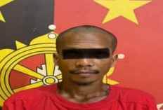 Curi Buah Sawit, Pria di Tungkal Jaya ini Diamankan Polisi