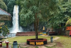 Liburan Murah Meriah di Kuningan: 3 Destinasi Wisata Alam dengan Tiket Rp10.000 Saja!