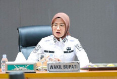 Tunggu Tahap 2 dan Skema Optimalisasi dari Pusat