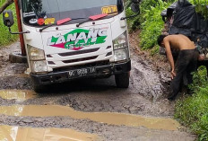 Rusak Parah Jalan Desa Tanjung Kupang Baru, Warga Meminta Perhatian Pemerintah