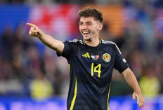 Billy Gilmour Resmi Gabung Napoli