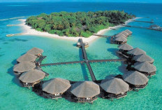 Panduan Solo Traveling ke Kepulauan Derawan: 3 Hari 2 Malam dengan Open Trip dan Tiket Pesawat