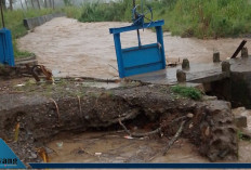 Banjir Terjang Paiker Empat Lawang! Puluhan Hektare Sawah Hancur, Bendungan Jebol, Warga Terendam Air Selutut