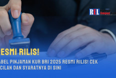 Tabel Pinjaman KUR BRI 2025 Resmi Rilis! Cek Cicilan dan Syaratnya di Sini