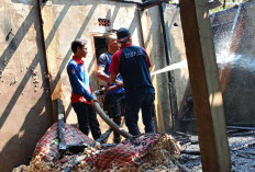 Dua Rumah Warga Terdampak Amukan Sijago Merah