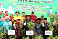 Canangkan Pembangunan Pasar Induk di Semende