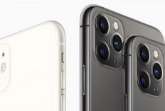Harga iPhone 11, 11 Pro & 11 Pro Max di iBox Anjlok! Saatnya Upgrade iPhone Kamu!