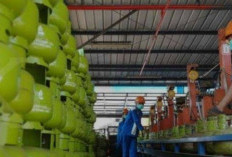 Pertamina Hentikan Penjualan LPG 3 Kg ke Pengecer Mulai 1 Februari 2025