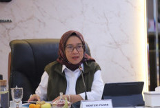 Pendaftaran CPNS 2025 Segera Dibuka: Formasi Baru dan Peluang Lolos yang Besar
