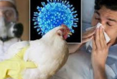 Kewaspadaan Meningkat: Negara-negara Asia Intensifkan Upaya Pencegahan Flu Burung