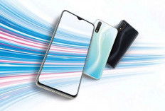 Vivo Y19 Hadir dengan Fitur Reverse Charging, Ungguli Oppo A53