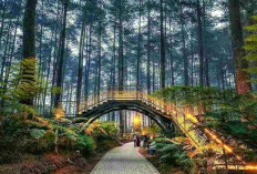 Ini Wisata Bandung: Destinasi Seru, Udara Sejuk, dan Kuliner Menggoda